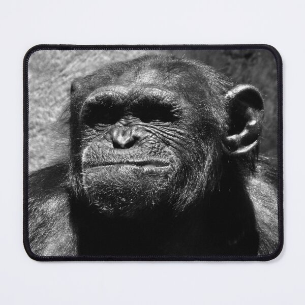 Item preview, Chimp Smirk designed and sold by lando-s-photo.