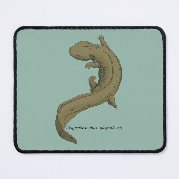 Item preview, Cryptobranchus alleganiesis designed and sold by ArtByBreah.