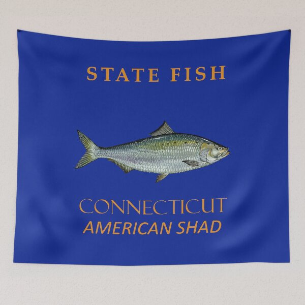 Item preview, Connecticut Territory Fish The American Shad designed and sold by taiche.
