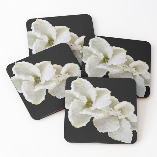Item preview, The Night Blooms designed and sold by ThePlantGoblin.