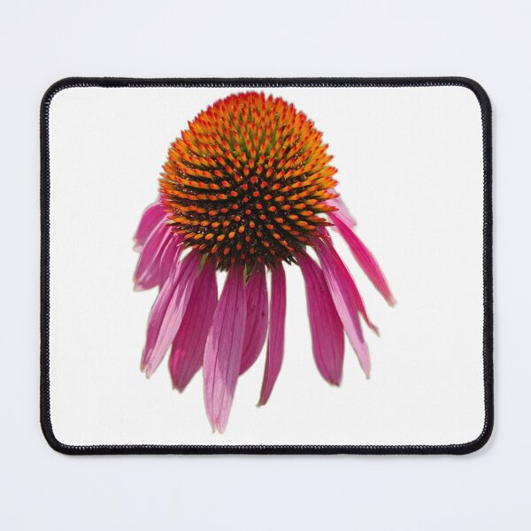 Item preview, Echinacea purpurea designed and sold by LoveGraceValor.