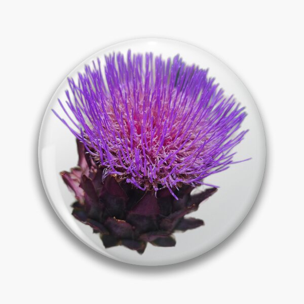 Item preview, Cardoon designed and sold by LoveGraceValor.