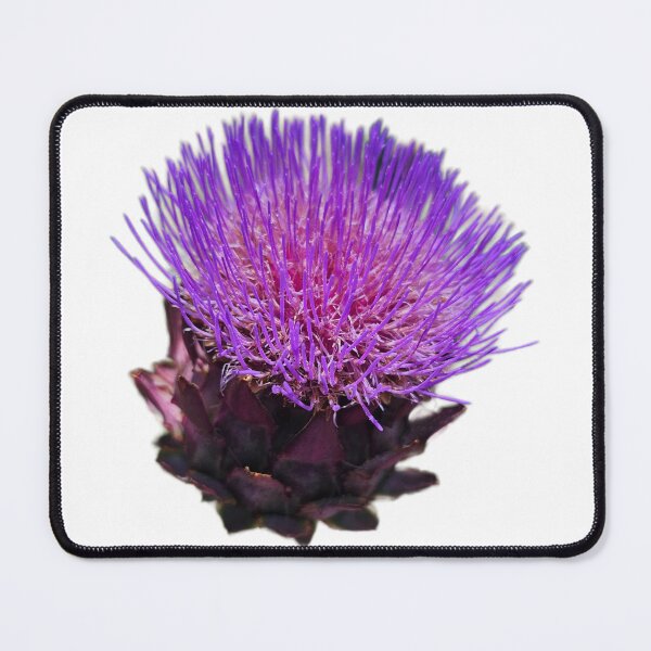Item preview, Cardoon designed and sold by LoveGraceValor.