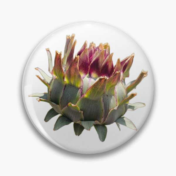 Item preview, Cardoon 2 designed and sold by LoveGraceValor.