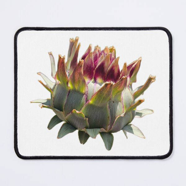 Item preview, Cardoon 2 designed and sold by LoveGraceValor.