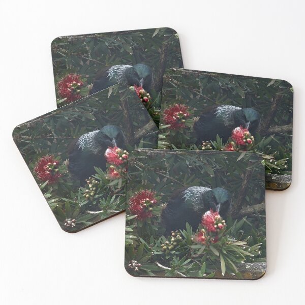 Item preview, Tui over the fence designed and sold by carole hirst.