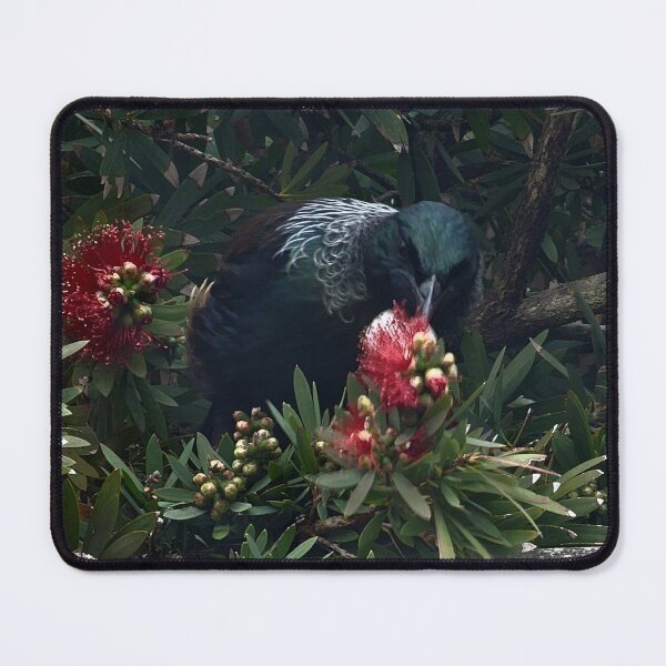Item preview, Tui over the fence designed and sold by carole hirst.