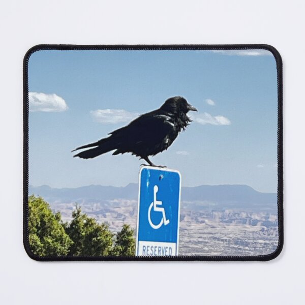 Item preview, Raven sitting atop a handicap sign designed and sold by 5decibels.
