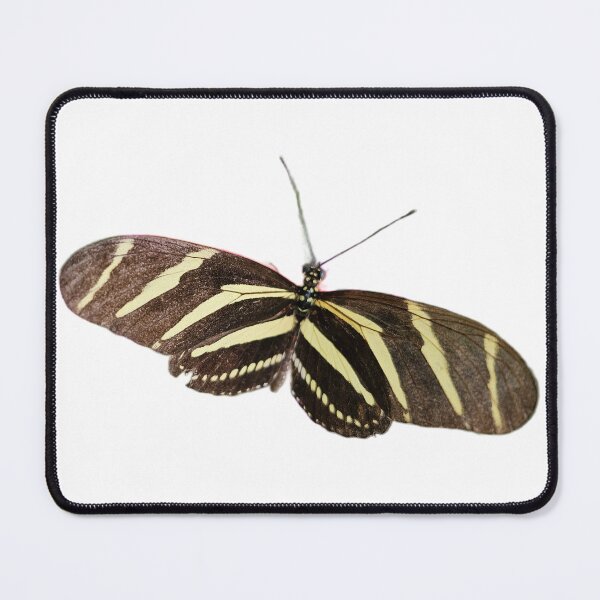 Item preview, Zebra Longwing designed and sold by LoveGraceValor.