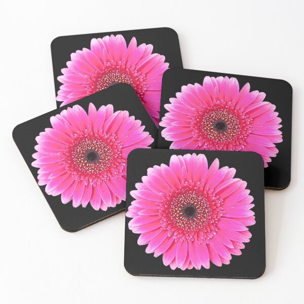 Item preview, Bright Barberton Daisy Nature Print  designed and sold by bvdesignart.