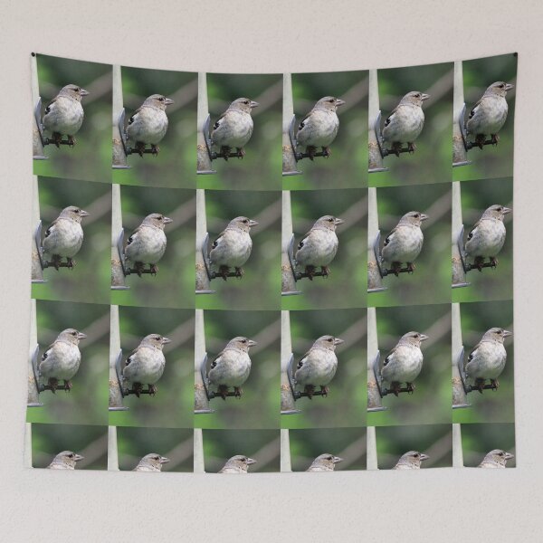 Item preview, acecho designed and sold by KathleenDawson.
