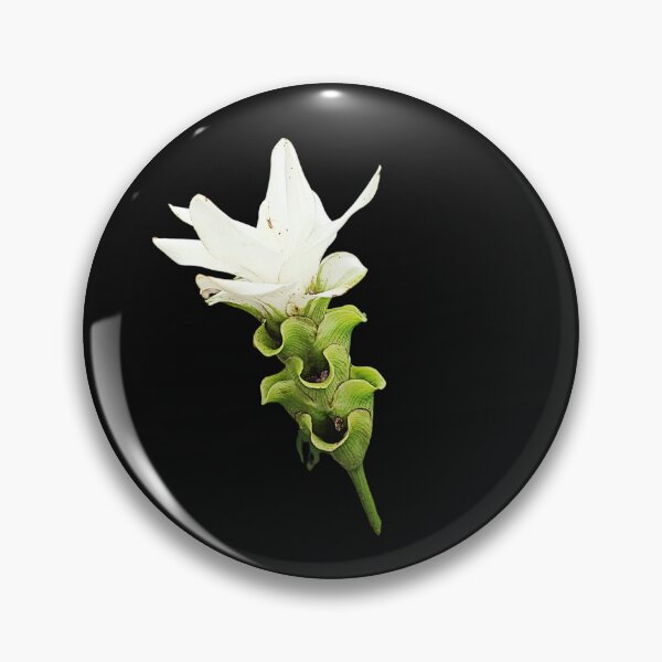Item preview, Curcuma Sessilis Gage Botanical Flower Art designed and sold by bvdesignart.