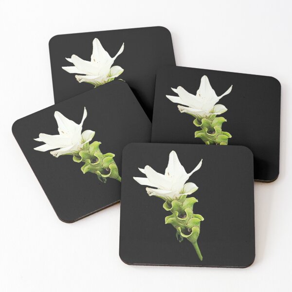 Item preview, Curcuma Sessilis Gage Botanical Flower Art designed and sold by bvdesignart.