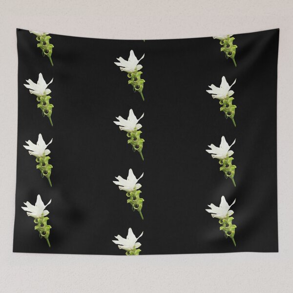 Item preview, Curcuma Sessilis Gage Botanical Flower Art designed and sold by bvdesignart.