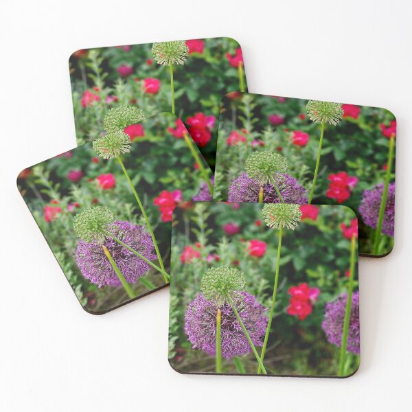 Item preview, Mid-Bloom Alliums in a Summer Garden designed and sold by skylineglow.