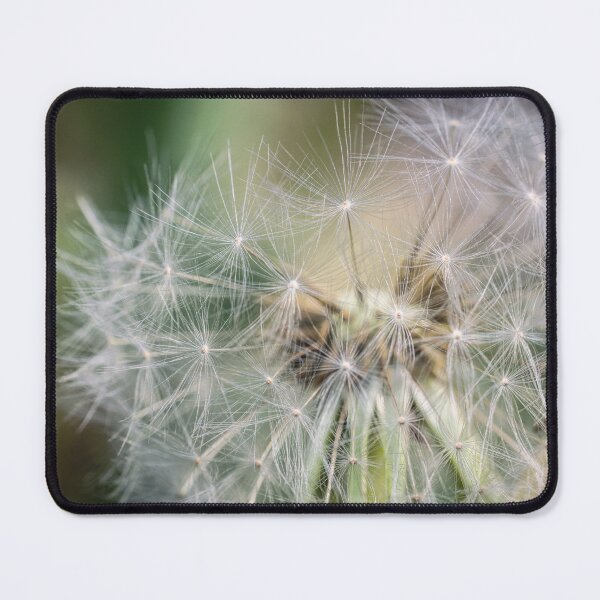 Item preview, Detailed macro of moody dandelion with fluffy seeds and airy texture. designed and sold by RinaZik.