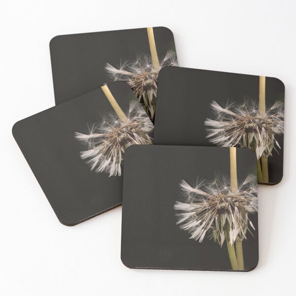 Item preview, An atmospheric dramatic photo of a wet dandelion on a black background. designed and sold by RinaZik.