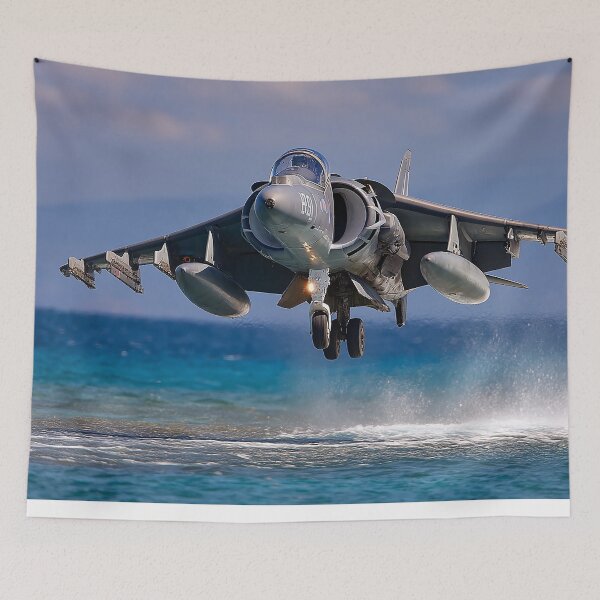 Item preview, Coastal Harrier designed and sold by Skyframe Aviation.