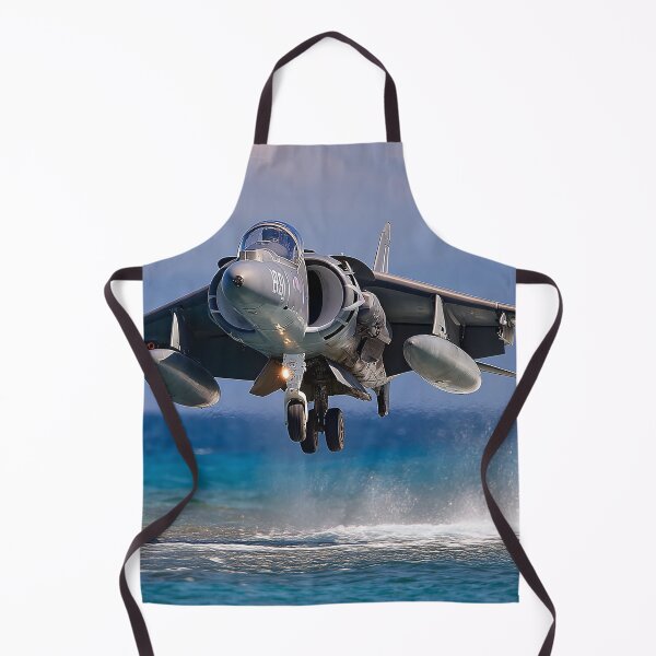 Item preview, Coastal Harrier designed and sold by Skyframe Aviation.