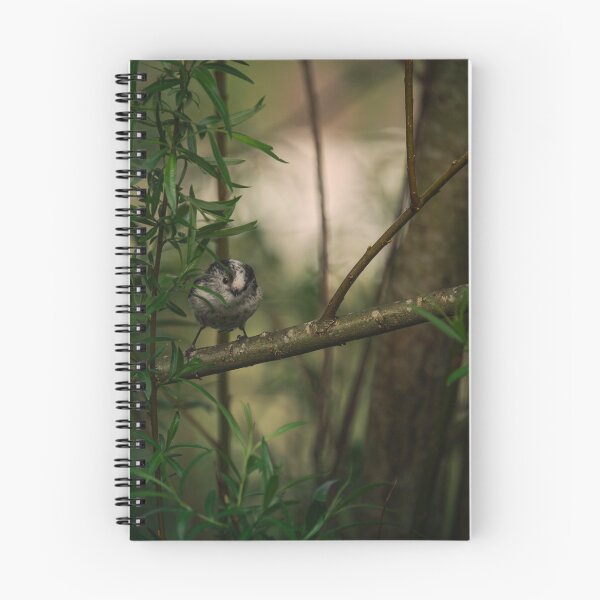 Item preview, Curious Coal Tit designed and sold by Artstridcore.