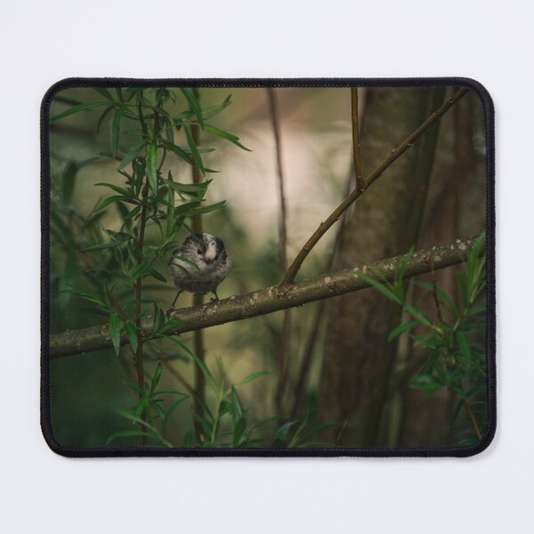 Item preview, Curious Coal Tit designed and sold by Artstridcore.