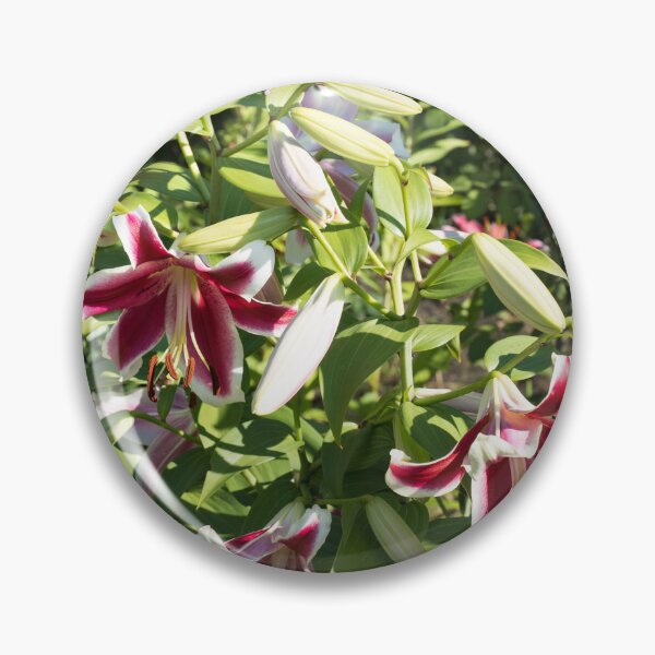 Item preview, Stargazer Lilies Garden Superbloom in the Sunshine designed and sold by Georgia Mizuleva.