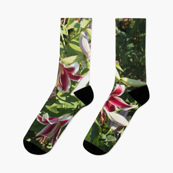 Item preview, Stargazer Lilies Garden Superbloom in the Sunshine designed and sold by Georgia Mizuleva.