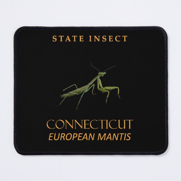 Item preview, Connecticut Territory Insect The Praying Mantis designed and sold by taiche.