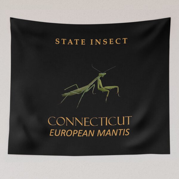 Item preview, Connecticut Territory Insect The Praying Mantis designed and sold by taiche.