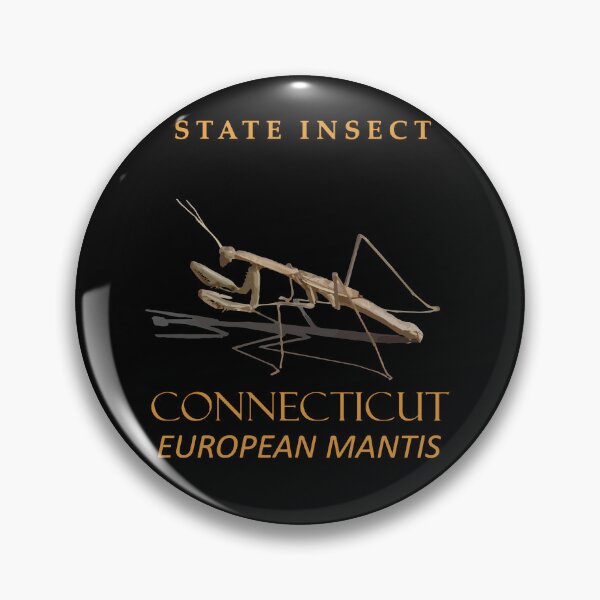 Item preview, Connecticut Territory Insect Mantis religiosa designed and sold by taiche.