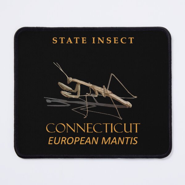 Item preview, Connecticut Territory Insect Mantis religiosa designed and sold by taiche.