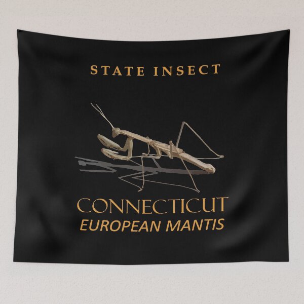 Item preview, Connecticut Territory Insect Mantis religiosa designed and sold by taiche.