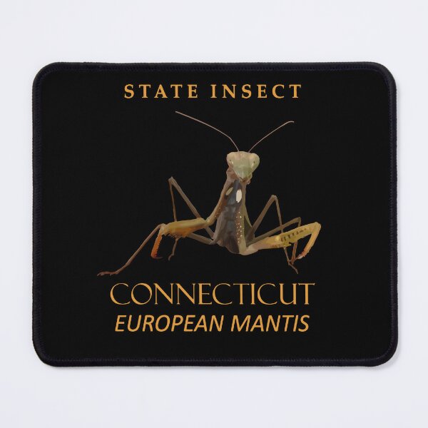 Item preview, Connecticut Territory Insect The European Mantis designed and sold by taiche.