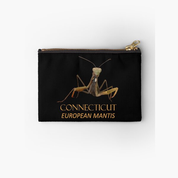 Item preview, Connecticut Territory Insect The European Mantis designed and sold by taiche.