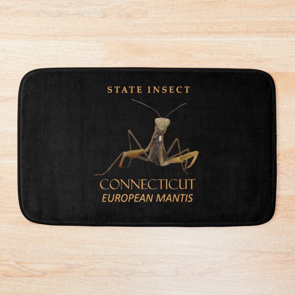 Aperçu de l'œuvre Insecte du territoire du Connecticut La mante religieuse européenne créée et vendue par taiche.