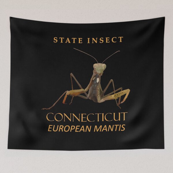 Item preview, Connecticut Territory Insect The European Mantis designed and sold by taiche.