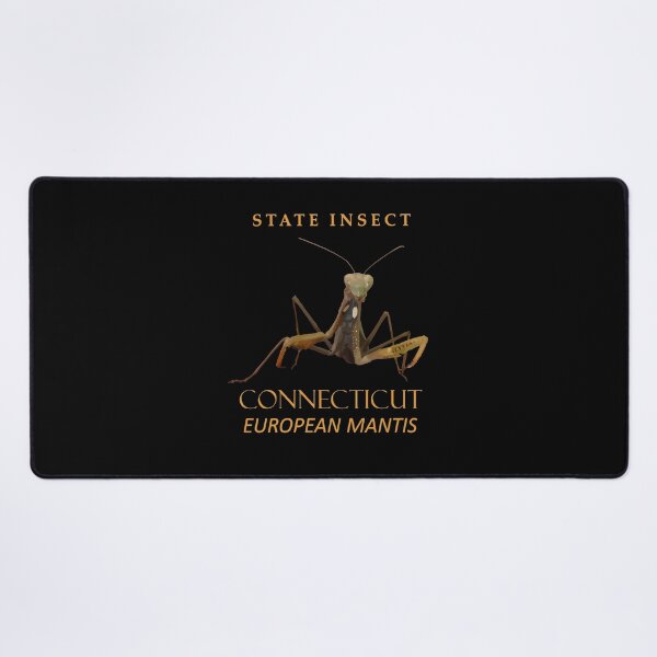 Item preview, Connecticut Territory Insect The European Mantis designed and sold by taiche.
