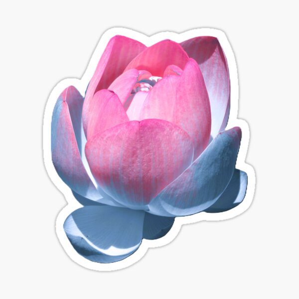 Item preview, Lotus  designed and sold by NuevaTierra.