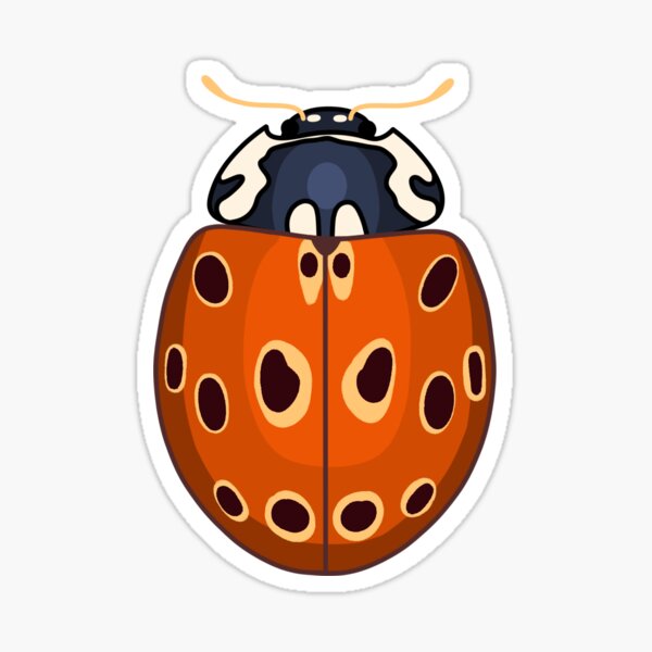 Aperçu de l'œuvre Coccinelle à taches oculaires créée et vendue par MaraMakesDesigns.