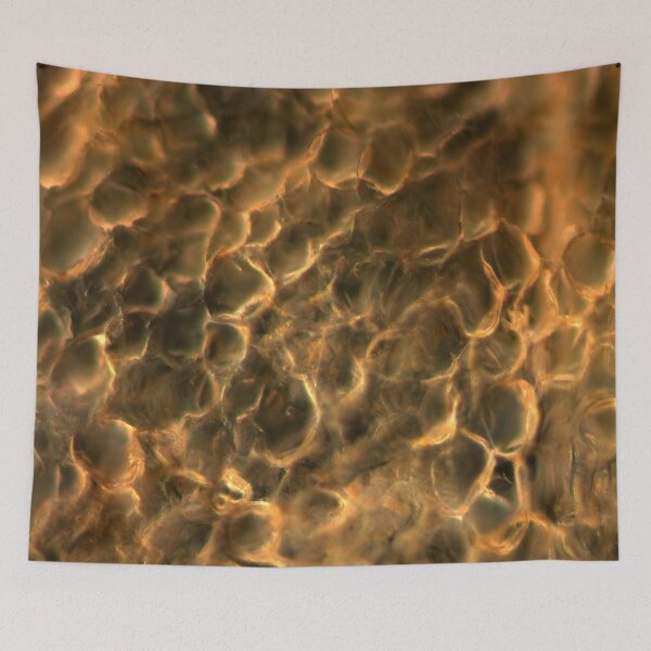 Item preview, Carrot cells in dark field at 50x designed and sold by VeiledDepths.
