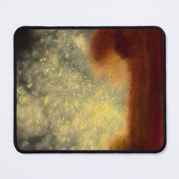 Item preview, Cell rupture in dark field with algae colonization designed and sold by VeiledDepths.