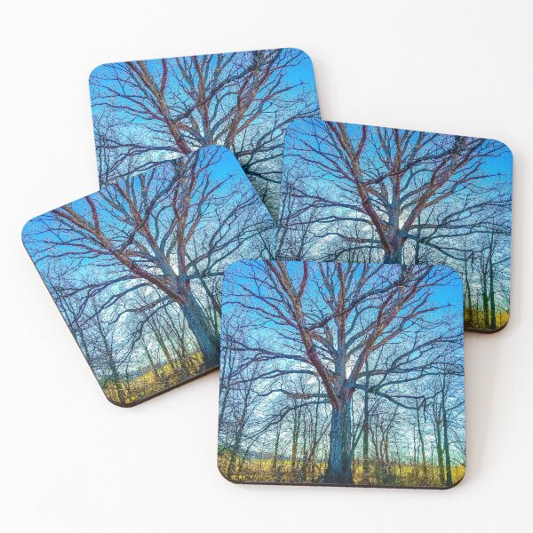 Item preview, Old big tree with bare branches designed and sold by NatureVibesHere.