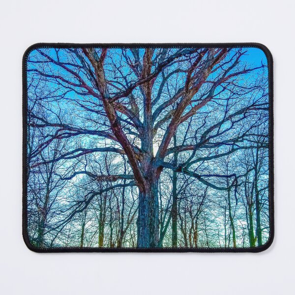 Item preview, Old big tree with bare branches designed and sold by NatureVibesHere.