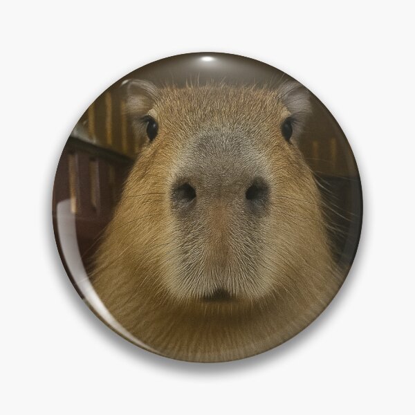 Item preview, Weird Angle Capybara designed and sold by Capybarastore_77.