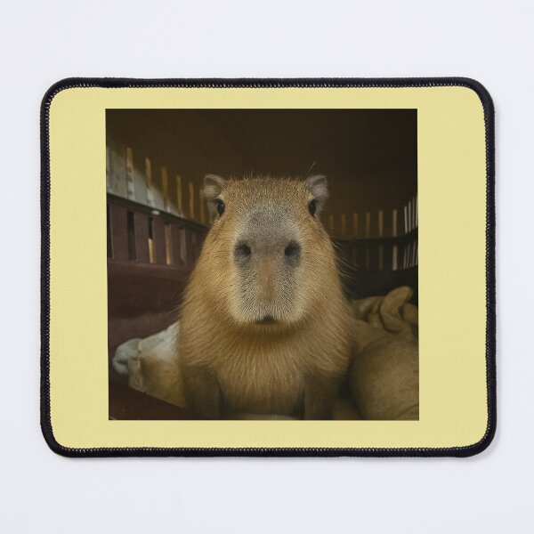 Item preview, Weird Angle Capybara designed and sold by Capybarastore_77.