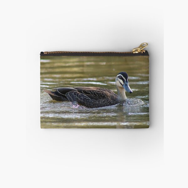 Item preview, © Pacific black duck designed and sold by GeoPipics.