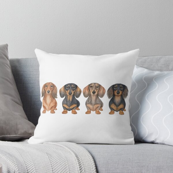 Item preview, Cute Dachshund Dog Breeds Lineup Illustration designed and sold by ArtfulWeave.