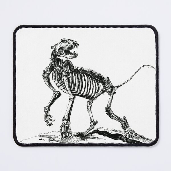 Item preview, Lion Skeleton designed and sold by BaharDk.