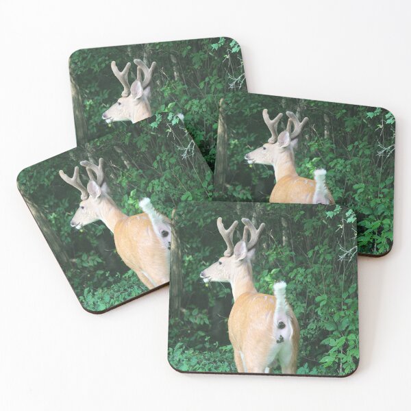 Item preview, Deer Pooping Photograph  designed and sold by LostinEverythingDesigns.