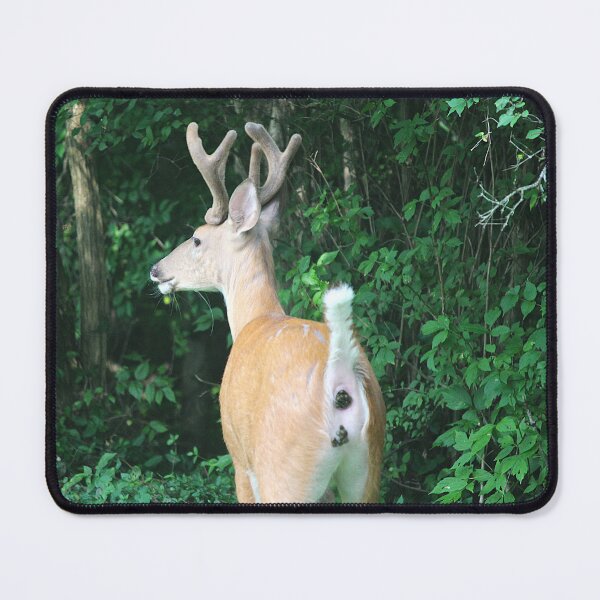 Item preview, Deer Pooping Photograph designed and sold by LostinEverythingDesigns.
